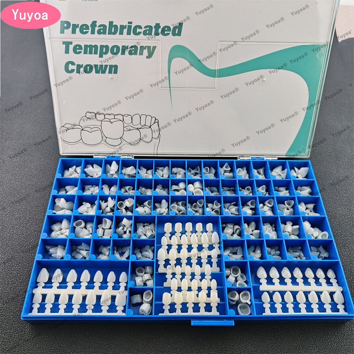 Teeth Whitening Moulds - 1 مجموعة الأسنان Premolar الأضراس الأمامية