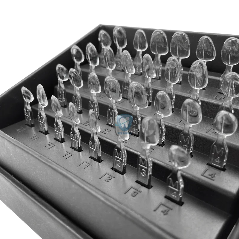 32 قطعة/المجموعة الأسنان القشر - مراجعة Teeth Whitening Moulds وسعره